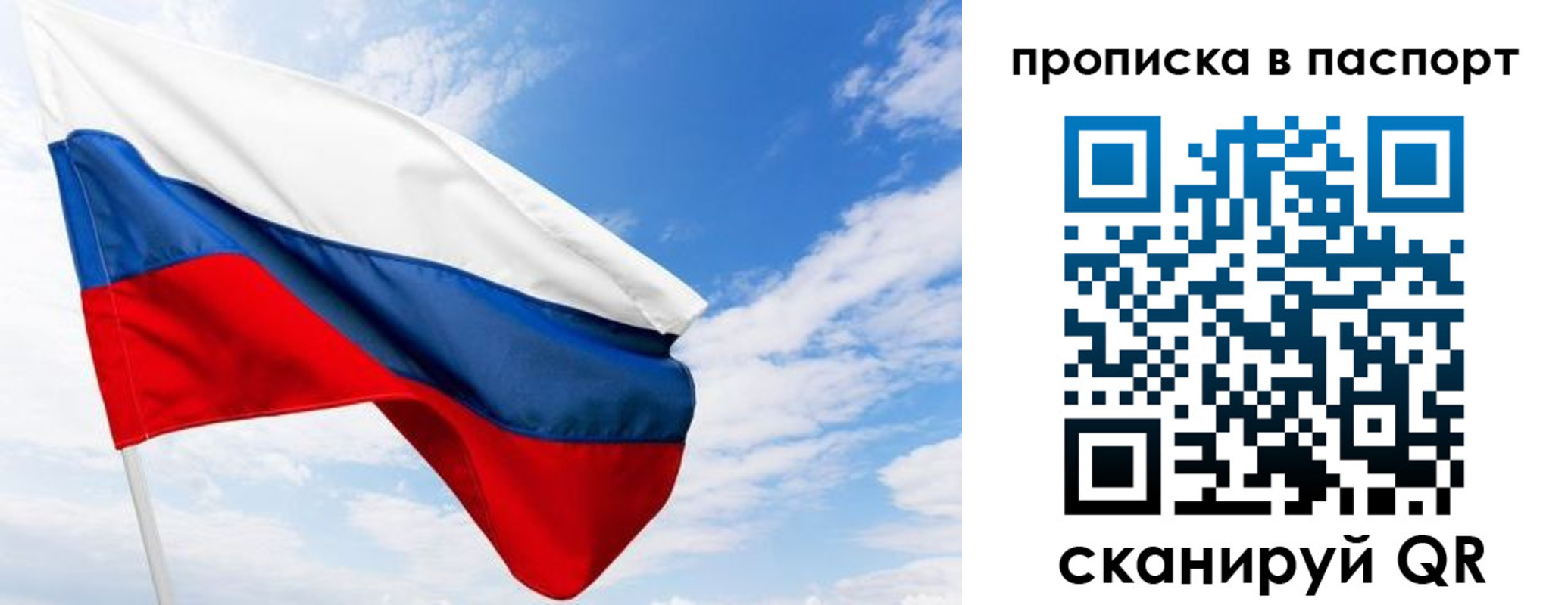 прописка поиск в Опочке
